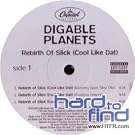 Rebirth of Slick [12 inch Analog]