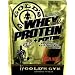 �yGOLD`S GYM�@ �i�S�[���h�W���j�z�@�z�G�C�v���e�C���@�_�u���`���R���[�g�����@�Q�D�O����