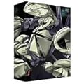 �̓K���_�� MEMORIAL BOX II (��������) [DVD]
