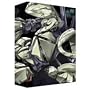 �̓K���_�� MEMORIAL BOX II (��������) [DVD]