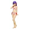 Fate/hollow ataraxia 1/10 �ԋ� ��