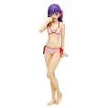 Fate/hollow ataraxia 1/10 �ԋ� ��