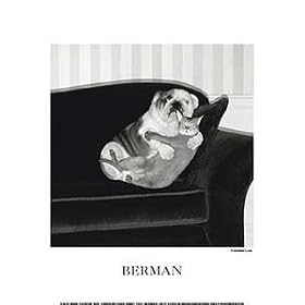 �|�X�^�[ �n���[�h �o�[�}�� Forbidden Love