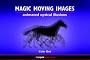 Magic Moving Images: Animated Optical Illusions