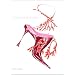 Manolo Blahnik Drawings