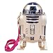 Star Wars R2-D2 Water Bottle