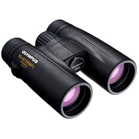 OLYMPUS �h���o�ዾ 10�~42 EXWPI