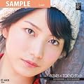 ���R�R�� AKB48 2012TOKYO�f�[�g�J�����_�[ ���R�R�� AKB-013