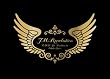 T.M.R. LIVE REVOLUTION �f06 -UNDER:COVER- [DVD]
