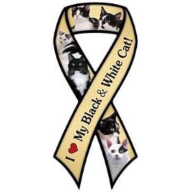 �yAnimalsINK.com�z���{���^�}�O�l�b�g�w�l�R��D���i�����L�j�xCat (black and white)
