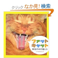 �t�@�b�g�L���b�g�\�p��̒��̔L����