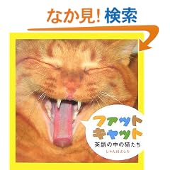 �t�@�b�g�L���b�g�\�p��̒��̔L����
