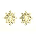 [�v���X���@���h�[��] Plus Vendome �n�b�s�[�V�����p�[�j���s�A�X PVBA1538  W1