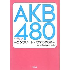 AKB480�g���r�A�\�R���v���[�g�E���^BOOK