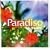 Paradiso