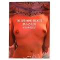 THE DREAMING BREASTS�@���݂���[