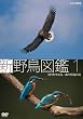 �V �쒹�}�� ��1�W ������钹/�X��k���̒� [DVD]