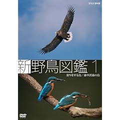 �V �쒹�}�� ��1�W ������钹/�X��k���̒� [DVD]