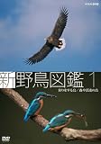 �V �쒹�}�� ��1�W ������钹/�X��k���̒� [DVD]