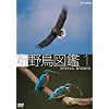 �V �쒹�}�� ��1�W ������钹/�X��k���̒� [DVD]