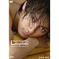 ���͓���M Flight from the Labyrinth [DVD]