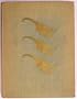 Book of the Three Dragons (Lost Race and Adult Fantasy Fiction)