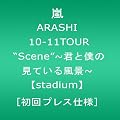 ARASHI 10-11TOUR �gScene�h~�N�Ɩl�̌��Ă��镗�i~�ystadium�z [����v���X�d�l] [DVD]