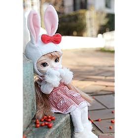 Pullip�@Leprotto(���v���b�g)�@�e-508