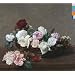 Power, Corruption & Lies