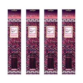 Misticks �~�X�e�B�b�N�X Jazzberreis �W���Y�x���[�Y�@�����@20�{�� X 4�p�b�N