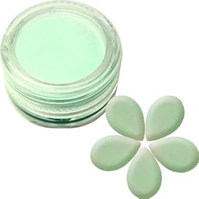 DNails�J���[�p�E�_�[/�p�X�e���O���[��