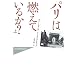 �p���͔R���Ă��邩?(��) (�n���J���E�m���t�B�N�V�����E�}�X�^�[�s�[�X)