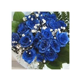 ���o���@�_��I�ȃu���[���[�Y�@�v���`�i�̋P���@100�{���J�X�~���A�O���[���t���@�o���̉ԑ��y���ԁz�y���j���z�L�O���z�y�a�����z�y�t�����[�M�t�g�z�y�o���z