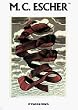 M.C. Escher: 29 Masterworks