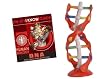 �C�[�m�T�C�G���X DNA-DNA�\��