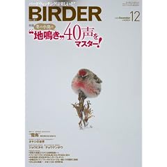 BIRDER (�o�[�_�[) 2008�N 12���� [�G��]