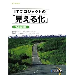 IT�v���W�F�N�g�́u�����鉻�v �����H���� (SEC BOOKS)