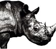 Mr.Children 1992-1995