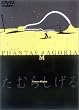 a piece of PHANTASMAGORIA�y����Łz [DVD]