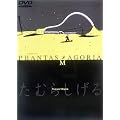 a piece of PHANTASMAGORIA�y����Łz [DVD]