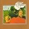 Pre-A.O.R. Vol.Two '75-'78