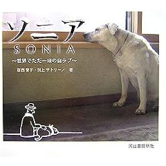 �\�j�A ���E�ł����ꓪ�̔����u