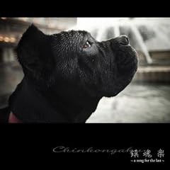 �����y~a song for the last~