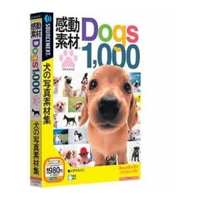 �����f�� Dogs1000
