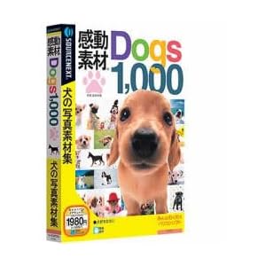 �����f�� Dogs1000