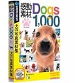 �����f�� Dogs1000
