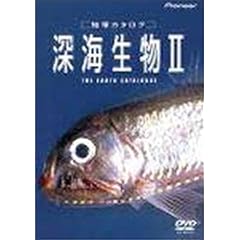 �n���J�^���O �[�C����II [DVD]