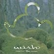 wish ~ heart of Disney songs ~