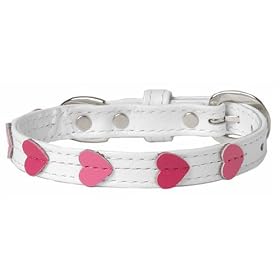 BIRDIE �t���b�V���n�[�g�J���[ 21 (S) �z���C�g 794