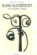 Karl Blossfeldt: The Alphabet of Plants (Masters of the Camera)